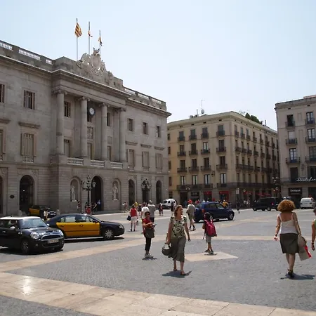 オスタル ニッツス Bcn *