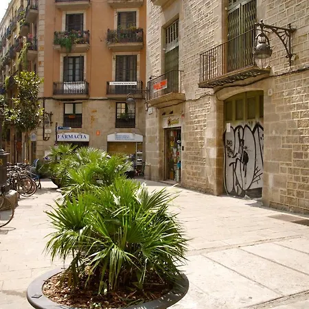 オスタル ニッツス Bcn バルセロナ